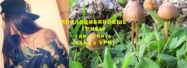 ГАЛЛЮЦИНОГЕННЫЕ ГРИБЫ Няндома
