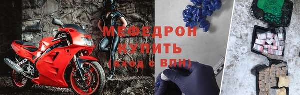 СК Новозыбков
