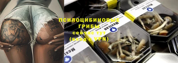 ГАЛЛЮЦИНОГЕННЫЕ ГРИБЫ Няндома